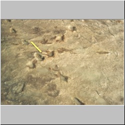 px88b-s4-34 dodm2.JPG